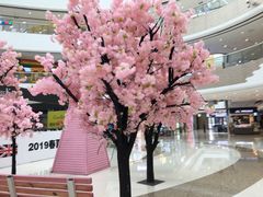 -万达广场(东营西城店)