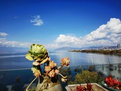 -野菌皇海景野生菌火锅(滨海大道店)