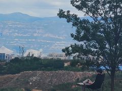 -五龙城郊森林公园