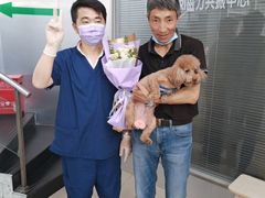 -爱侣宠医·鹦鹉专科·小型哺乳类·异宠专科(灵石路店)