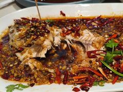 -杨氏青龙虾·羊蝎子(金盛路总店)