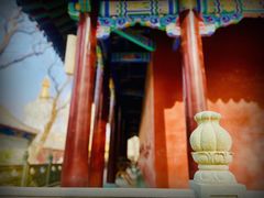 -护国法轮寺