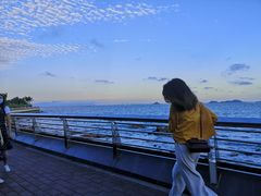 -野狸岛