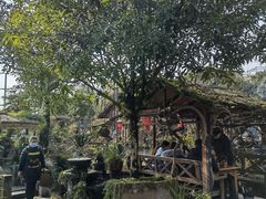 -青城甲(青城山店)