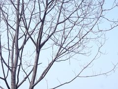 -海窝子古镇