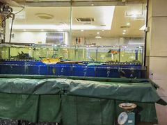 -湛江明记(湛江鸡湛江生蚝)