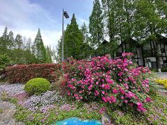 -太阳岛度假酒店