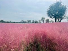 -汉长安城未央宫国家考古遗址公园