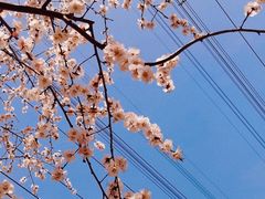 -北京奥林匹克公园