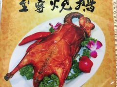 -安记烧鹅(新桥店)