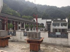 -伴山茶苑·一盏冰茶·半日山居