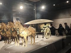 -秦始皇帝陵博物院-丽山园
