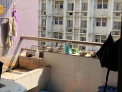 -西南政法大学(渝北校区)