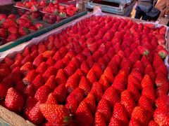 -青岛市本溪路农贸市场