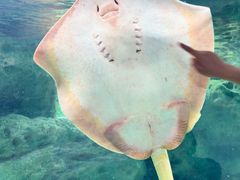 -珠海长隆海洋王国