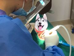 -瑞泰口腔(龙湖门诊)
