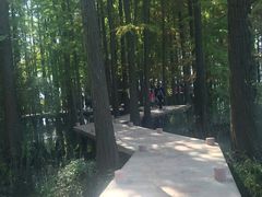-东湖落雁景区