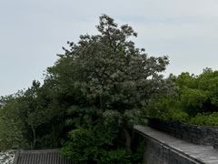-荆州博物馆
