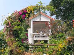 -深圳仙湖植物园