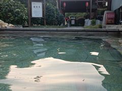 -咸宁万豪温泉谷度假区