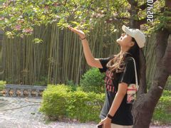 -四门塔风景区