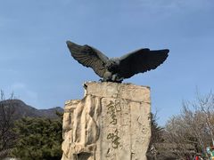 -北京鹫峰国家森林公园