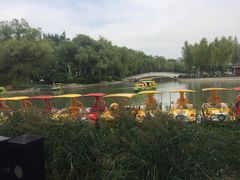 -青年湖公园水上世界