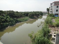 -小洲村