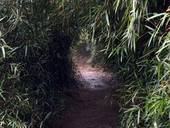 -大罗山风景区