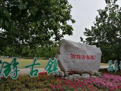 -御林古桑园