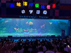 -泉城欧乐堡海洋极地世界
