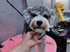 -宠福鑫康馨动物医院·骨科·眼科