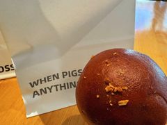 -WHEN PIGS FLY当猪飞
