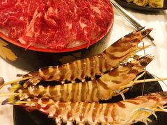 -鲜入围煮花胶鸡海鲜火锅
