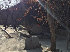 -四门塔风景区