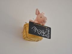 -阿狗圆子
