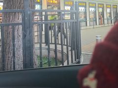 -牛街洪记小吃店(牛街店)