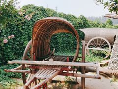 -呀路古热带植物园