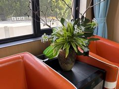 -新美姿美食水疗汇(罗湖口岸店)