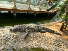 -石家庄市动物园