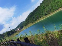 -武陵山森林公园