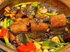 -天宝食坊·啫啫煲大排档(西华路店)