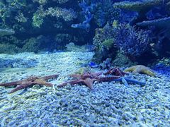 -江和美海洋公园