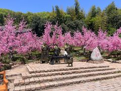 -三国水浒景区(无锡影视基地)
