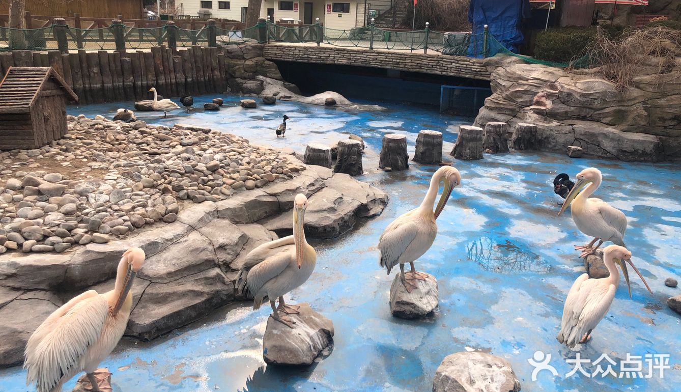 老虎滩海洋公园寻找童年快乐