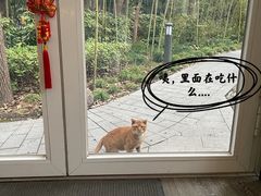 -西郊宾馆·1921餐厅