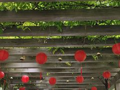 -白马涧龙池景区