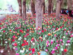 -长春公园(普阳街道)