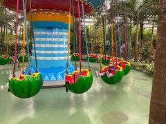 -南宫五洲植物乐园