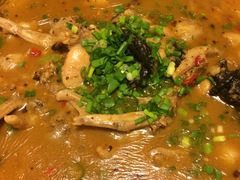 -老号尤兔头(西川店)